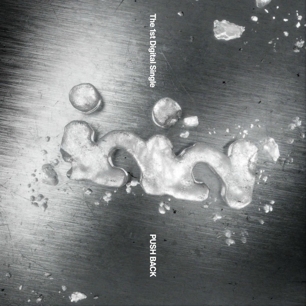 PUSH BACK by IDID album art